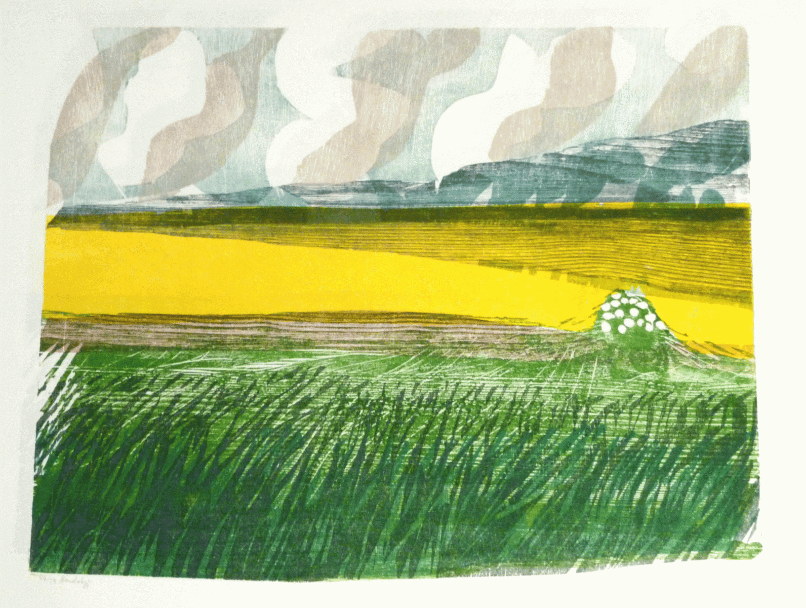 407-gelbes-feld-und-helle-wolken-scaled